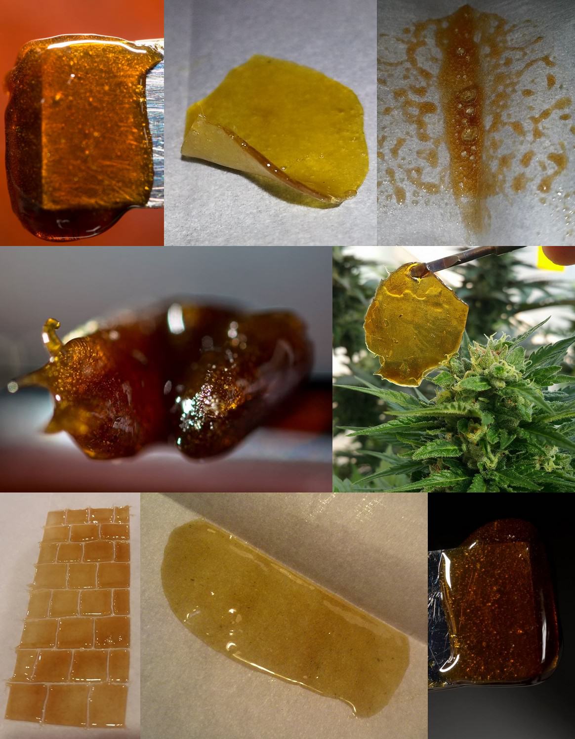 How To Make Your Own Homemade Rosin (dabs)