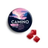 Chill Wild Berry Gummies