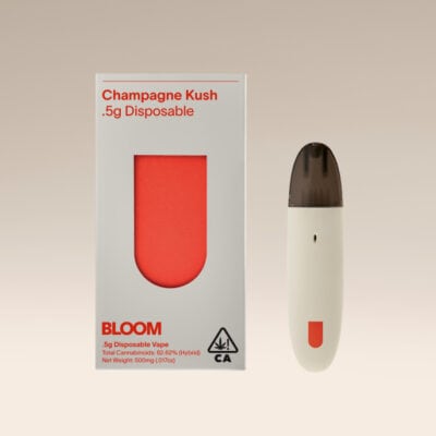 CHAMPAGNE KUSH SURF ALL-IN-ONE