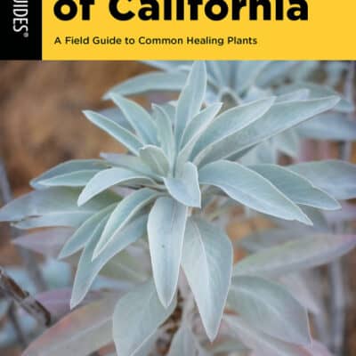 MEDICINAL HERBS OF CALIFORNIA