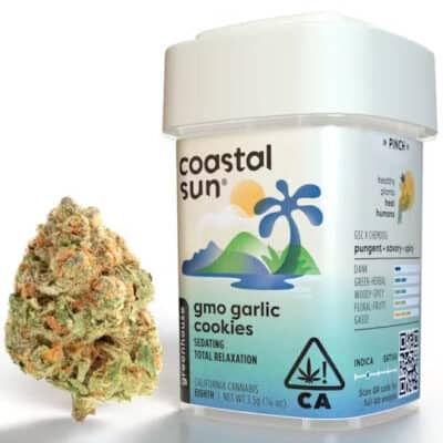 gmo-garlic-cookies-coastal-sun