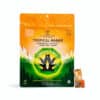 Tropical Mango Hard Candy
