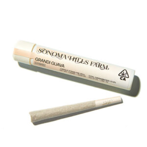 Grandi Guava 1g Pre-roll