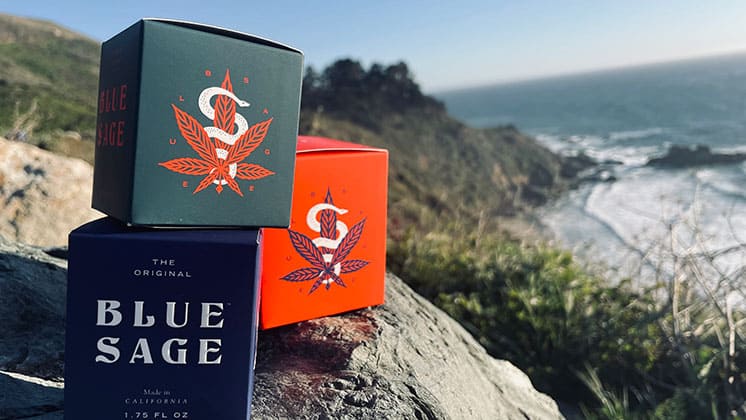 Blue-Sage-Hero