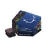 elderberry-thc-cbn-gummies-wyld