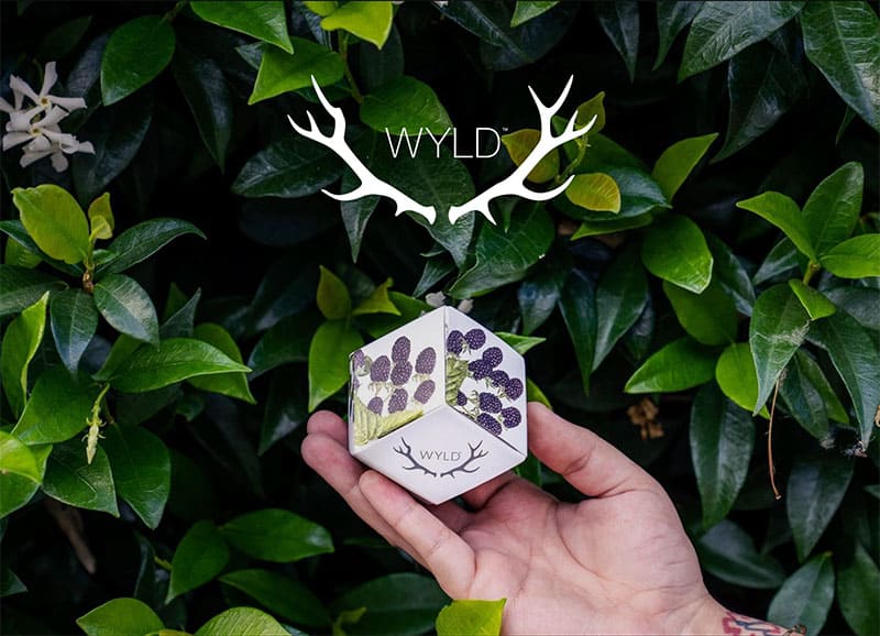 marionberry-wyld-hero