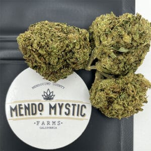 Kosher-Dawg-Mendo-Mystic