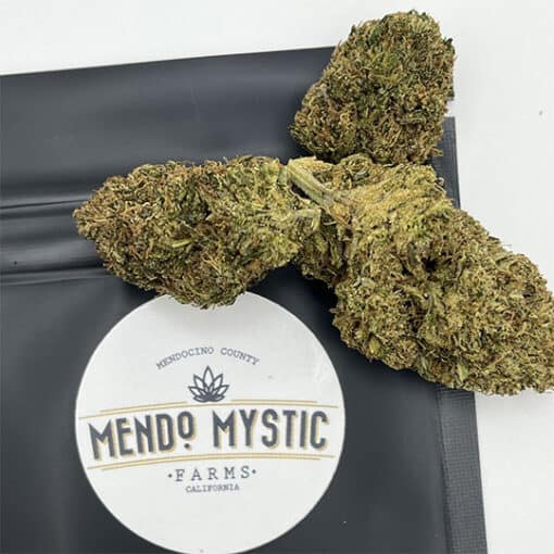 any-weather-mendo-mystic