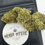 mystic-lights-mendo-mystic
