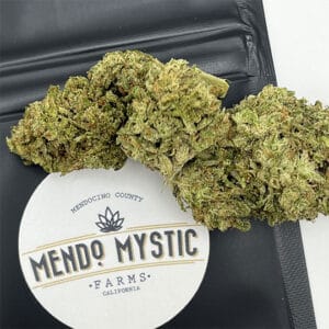 mystic-lights-mendo-mystic