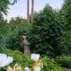 Briceland-Forest-Farm-Farm-Cut