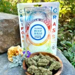 Blue-Halo-14g-Radicle-Herbs