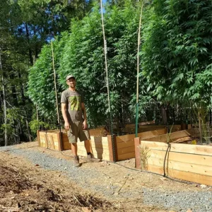 Trinitrees-Farm-Farmer