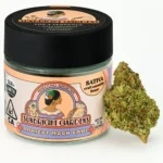 Apricot-Moon-Cake-Sunbright-Gardens