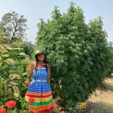 Sunbright-Gardens-Farmer