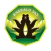 Emerald-Sky-Logo
