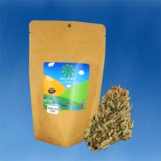 Mothers-Milk-14g-Sol-Spirit