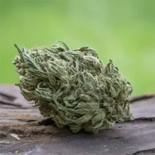 Strawnana-Farm-Cut