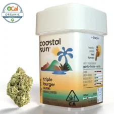Triple-Burger-Coastal-Sun