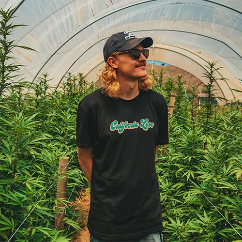 California Love Farmer