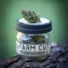 Flower-Jar-Farm-Cut