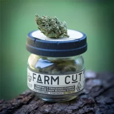 Flower-Jar-Farm-Cut