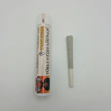 Doobie Mouth 1g Pre-roll