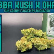 Bubba Kush X Ohaze