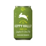 Hoppy-Valley-Kombucha-Revel