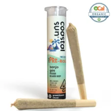 Banjo Gas Live Resin Infused 2pk Pre-roll