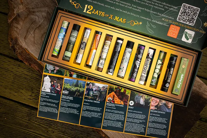 12-Jays-of-X-Mas-2025