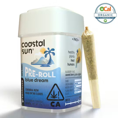Coastal Sun — Blue Dream