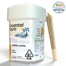 White Runtz 14pk Pre-roll
