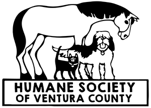 Humane_Society_VC_Logo Humane_Society_VC_Logo