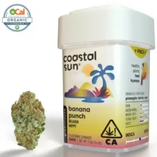 Banana Punch