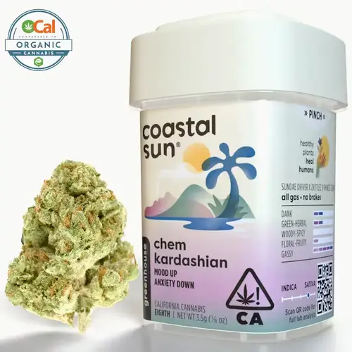 Coastal Sun — Chem Kardashian
