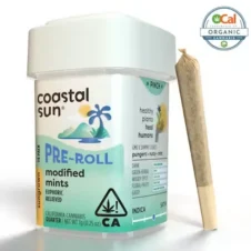 Modified Mints 14pk Pre-roll